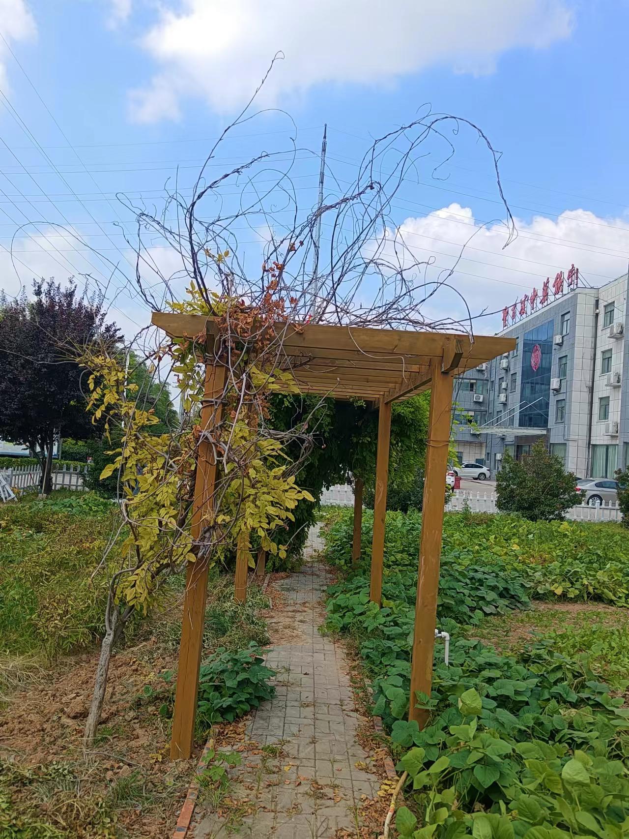廠容廠貌